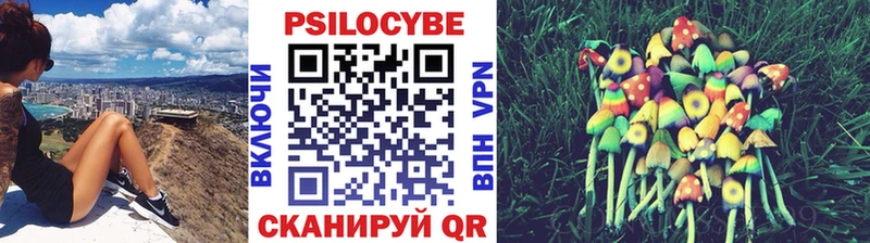 Галлюциногенные грибы MAGIC MUSHROOMS  Малмыж 