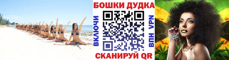 Бошки Шишки план  закладка  Малмыж 